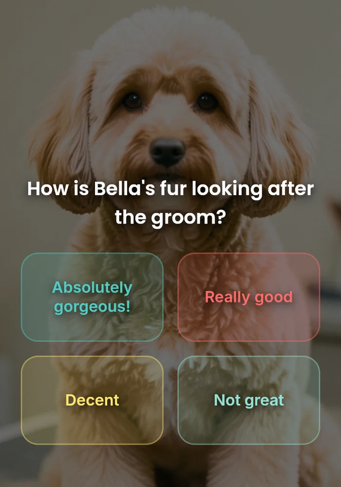 Recurring coat-care follow-up Syncro example